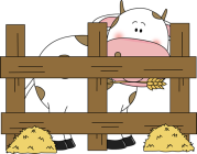 farm-cow